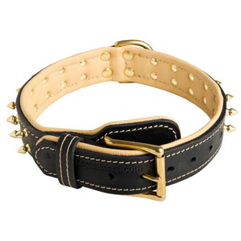 Leather Dog Collar Spiked Adjustable for Dog Walking