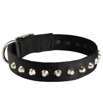 Walking Nylon   Dog Collar Nickel Studded Waterproof
