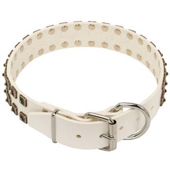 White Leather Dog Buckle Collar for Dog