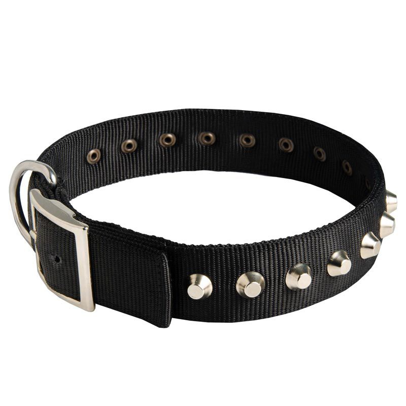 Wide nylon deals dog collars