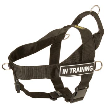 Dog Nylon Harness with ID Patches