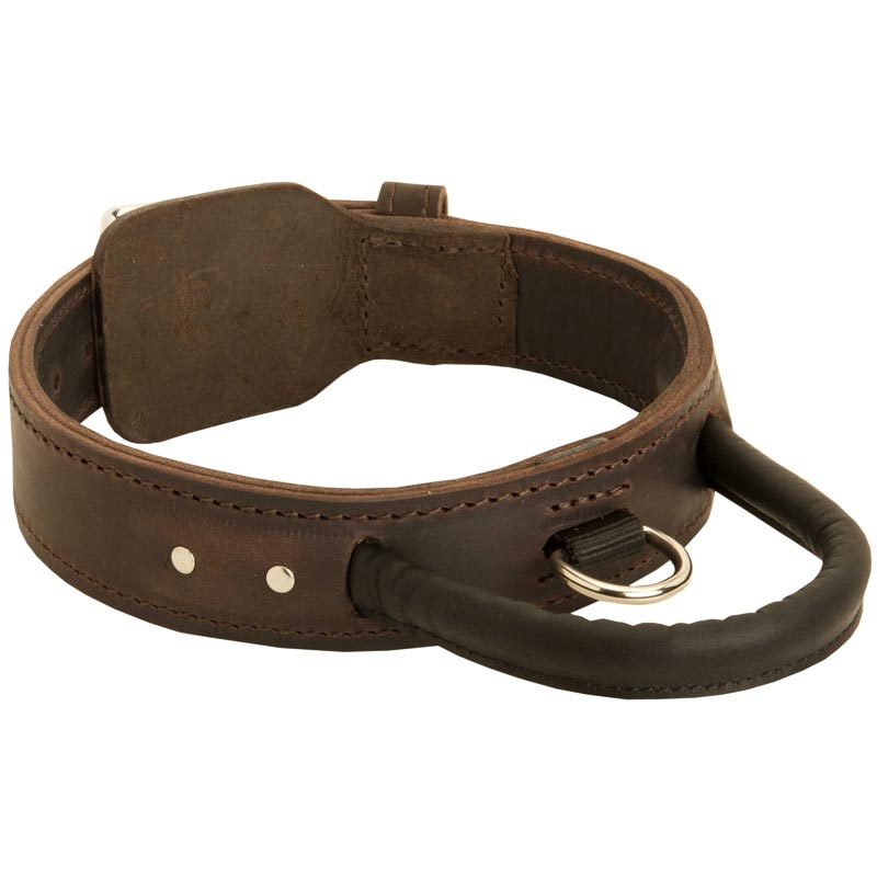 Extra Durable Leather Dog Collar with Handle for Attack Training
