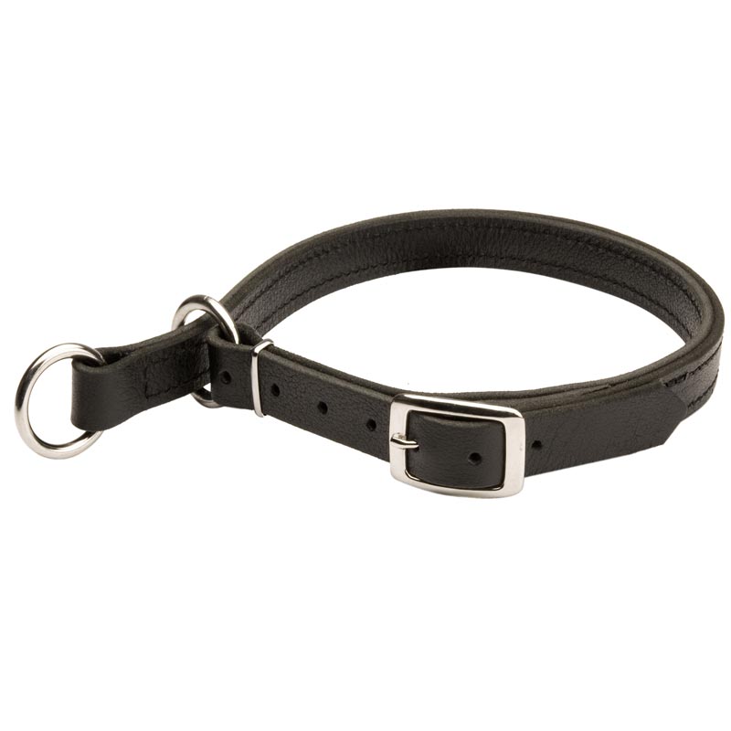 Dog Leather Choke Collar