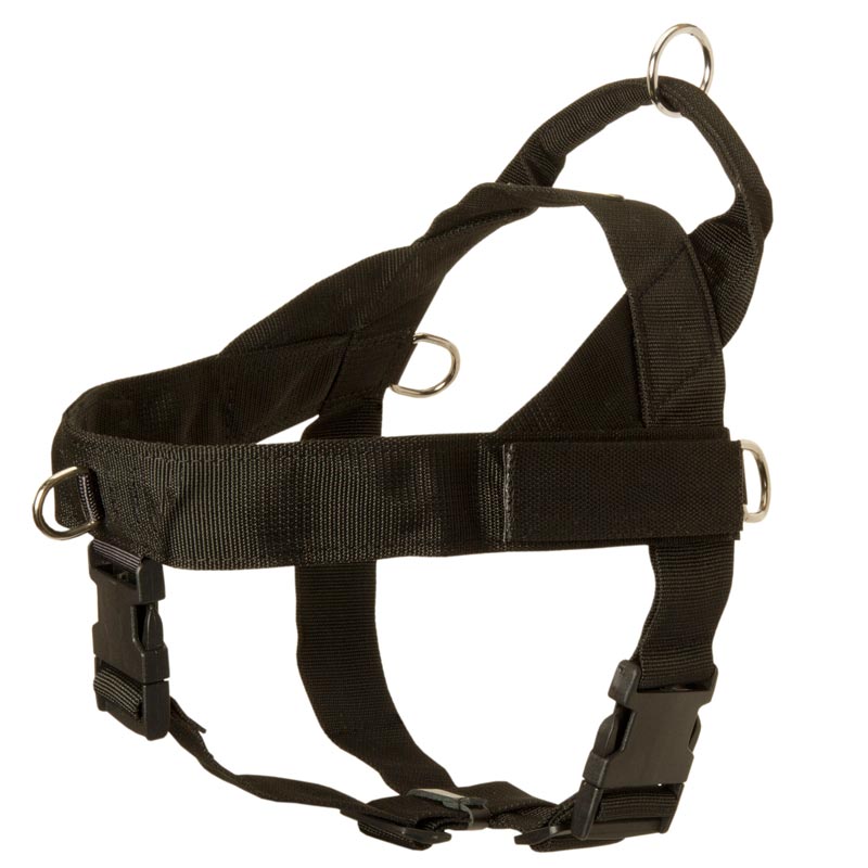 Dog Harness Nylon with Patches