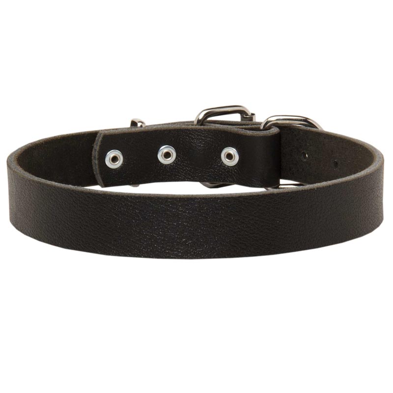 Dog Leather Dog Collar For Pleasant Wearing