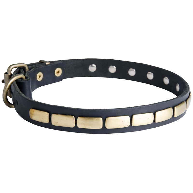 Dog Leather Collar Brass Plates 25 mm