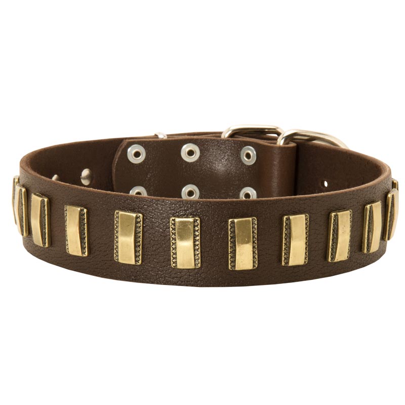 Dog Leather Collar with Shiny Plates