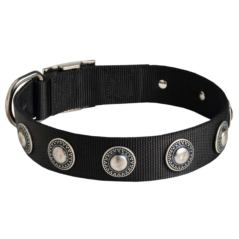 Dog Nylon Dog Collar with Circles Decoration