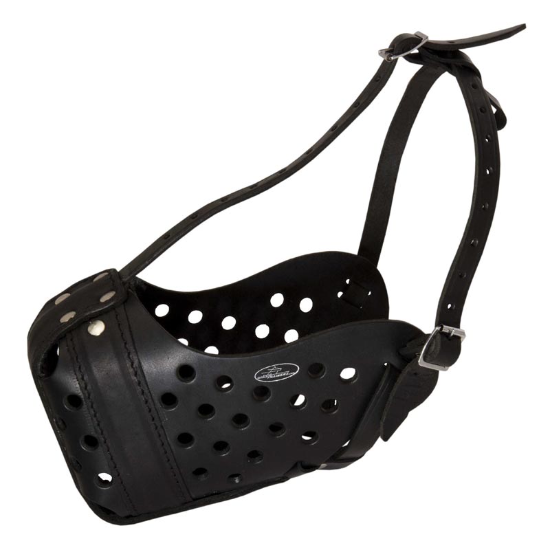 Easy Adjustable Leather Dog Muzzle for Agitation Training