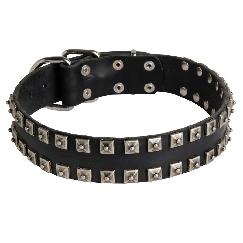 New Leather Dog Collar - Fashion Exclusive Design - "Caterpillar"