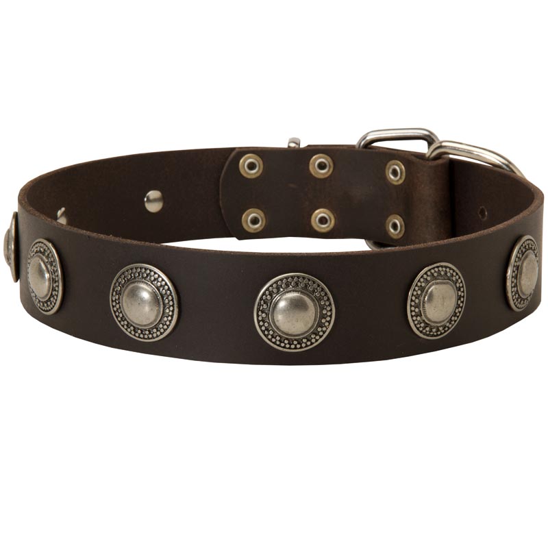 Fancy leather dog sales collars