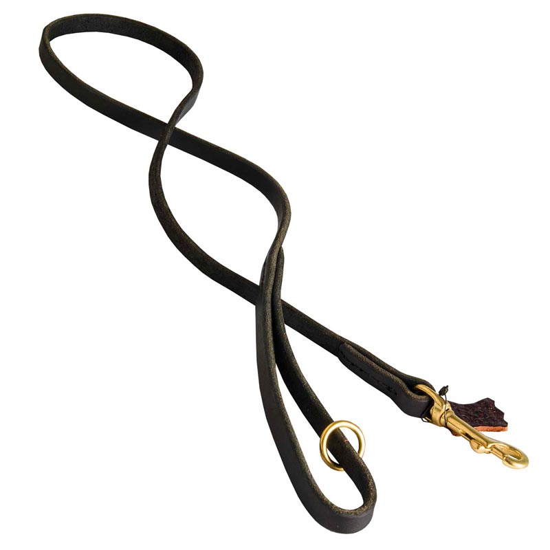 Handcrafted Leather Dog Leash for Walking and Tracking