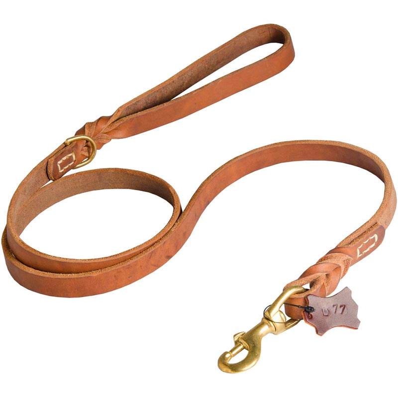 Walking and Training Leather Dog Leash with Comfy Handle