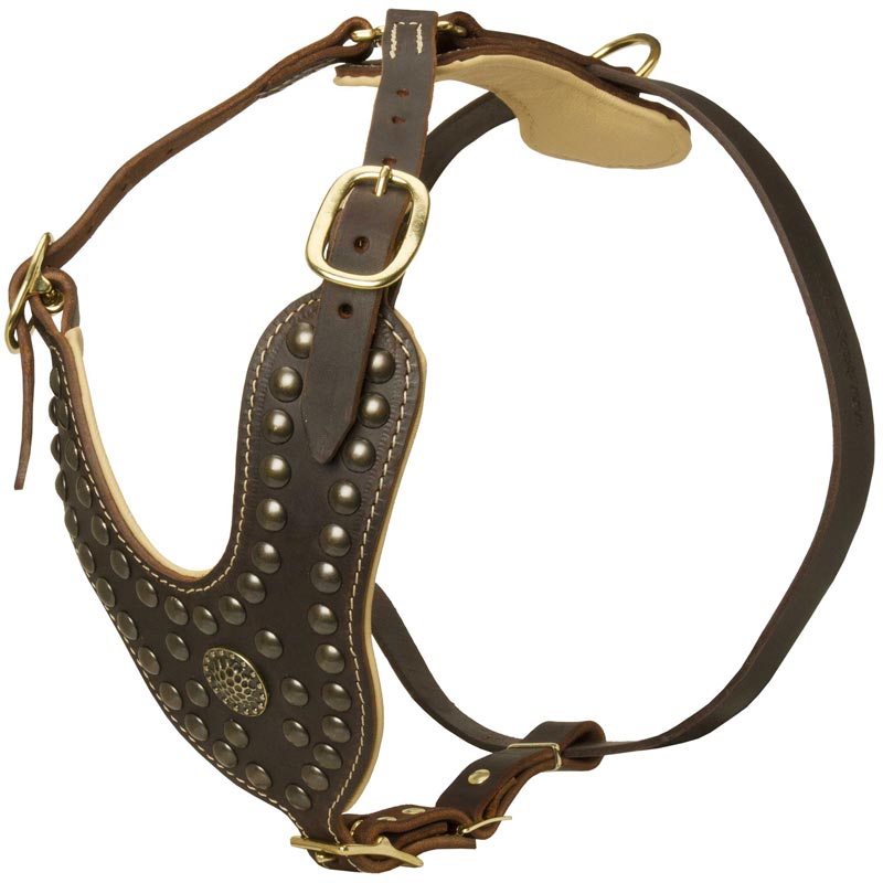 Designer leather hot sale dog harness