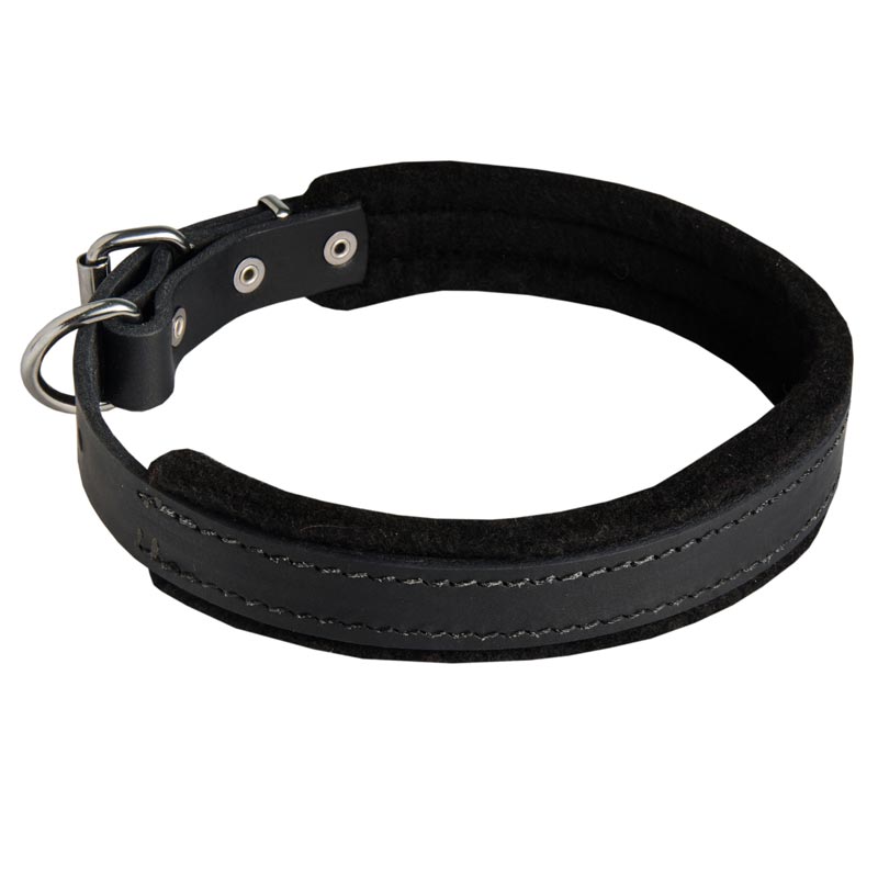 Padded Leather Dog Collar 25 mm for Dog Training