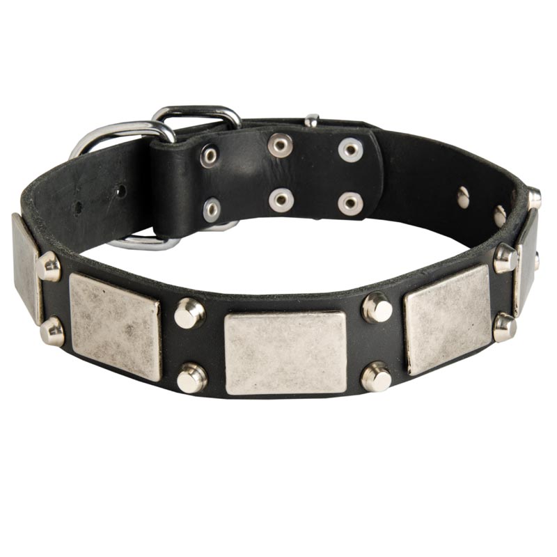Leather Dog Collar Decorated with Nickel Cones and Plates