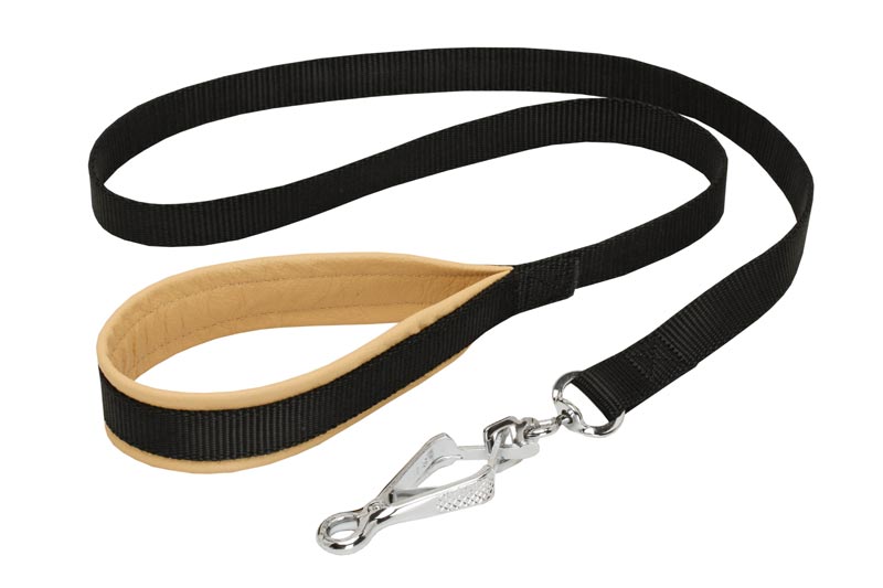 Nylon Dog Leash with Support Material on the Handle for Walking and Training