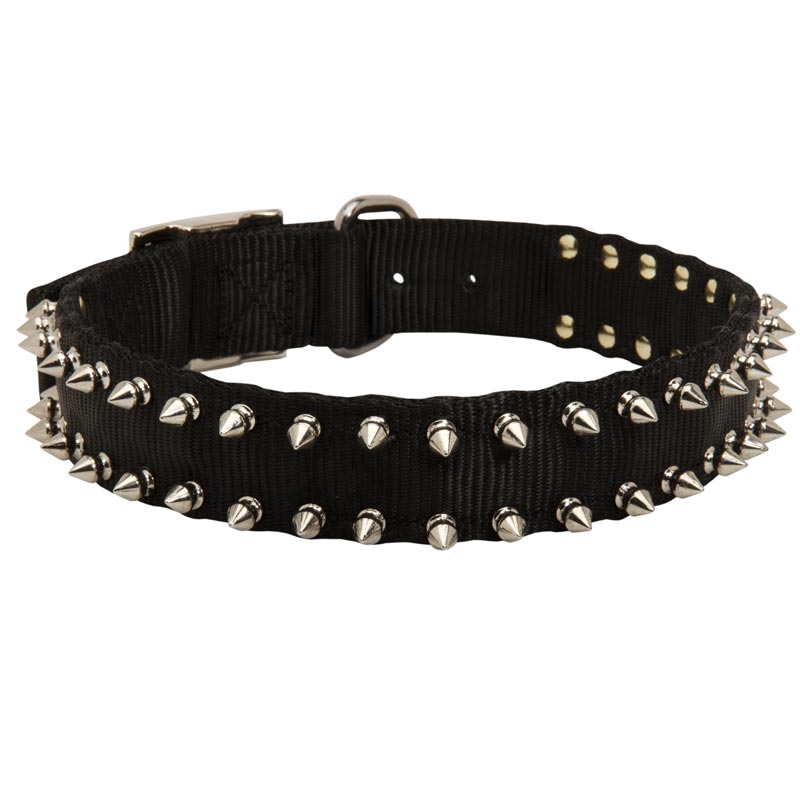 Dog Nylon Collar Spiked - Click Image to Close