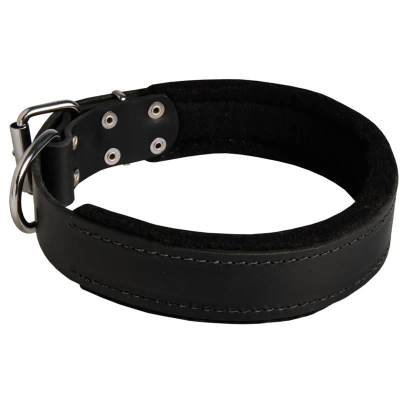 Dog Durable Padded Leather Collar 40 mm