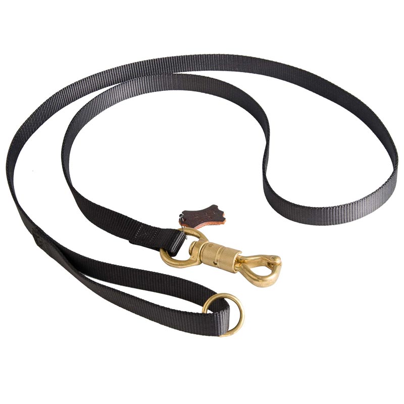 smart leash for dogs