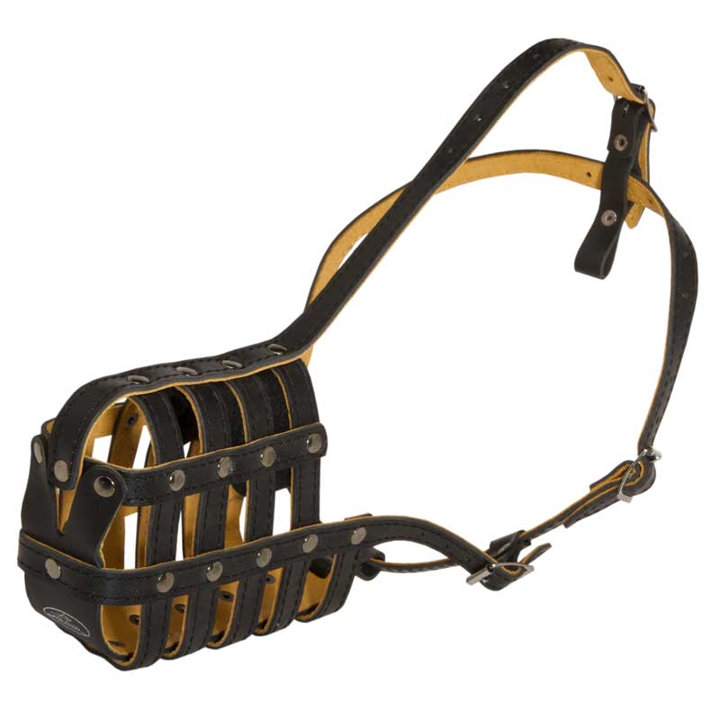 leather basket muzzle