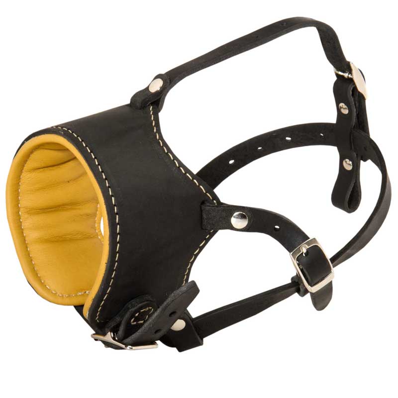 Snout muzzle sales