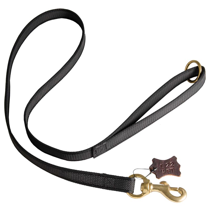 Thin leather leash cheap