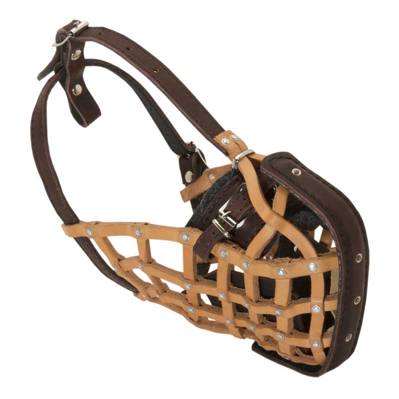 Leather sales basket muzzle