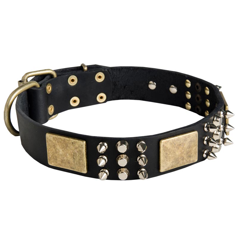 Spiked Leather Dog Collar with Plates and Cones - Click Image to Close