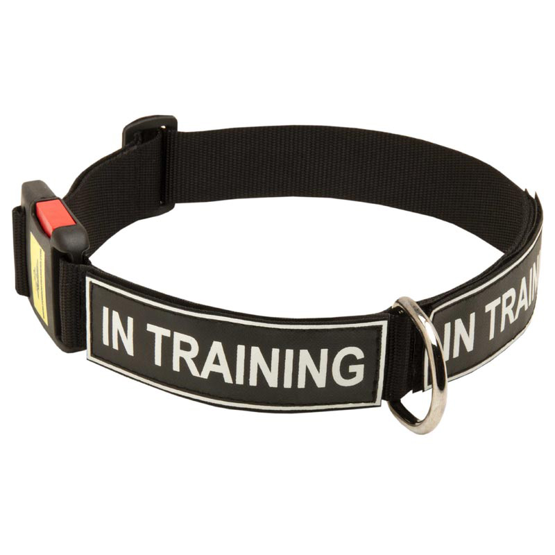 All Weather Nylon Dog Collar with ID Patches
