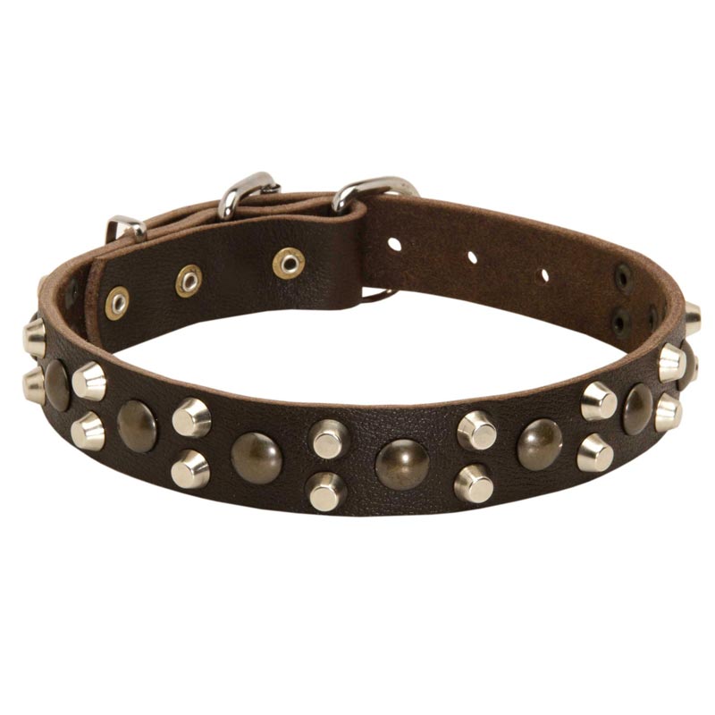 Leather Dog Collar With Studs and Pyramids
