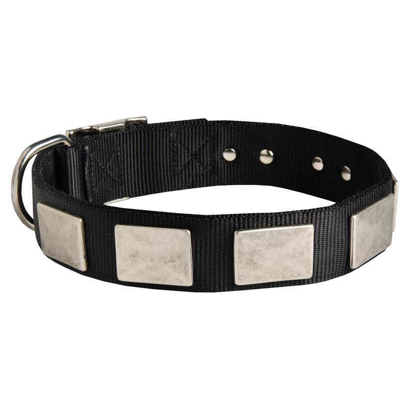 Nylon Dog Collar Massive Nickel Plates