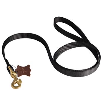 Walking Dog Leash