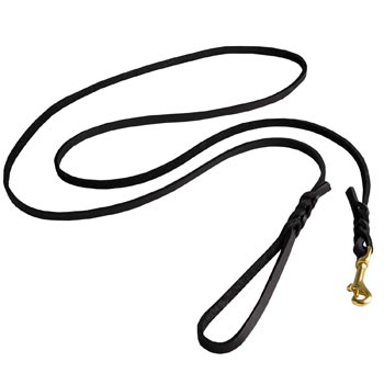 Best Walking Dog Leash Designer Supply for Walking in Style