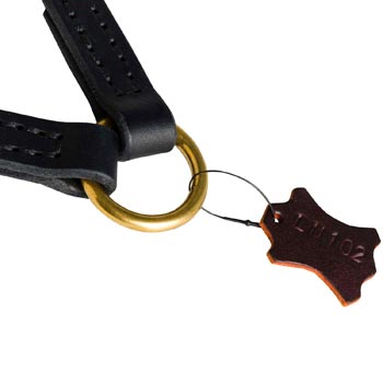 Braided Leather Dog Coupler with Brass O-ring