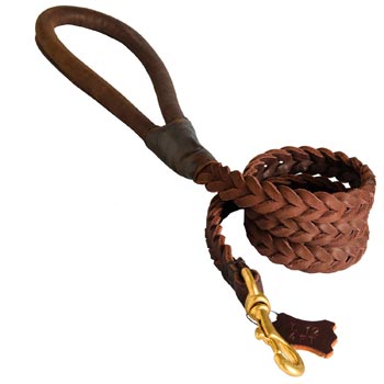 Multipurpose Leather Braided Dog Leash