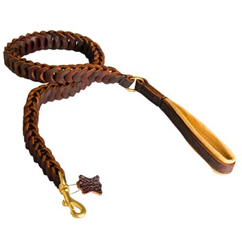 Braided Leather Dog Leash with Padding on Handle