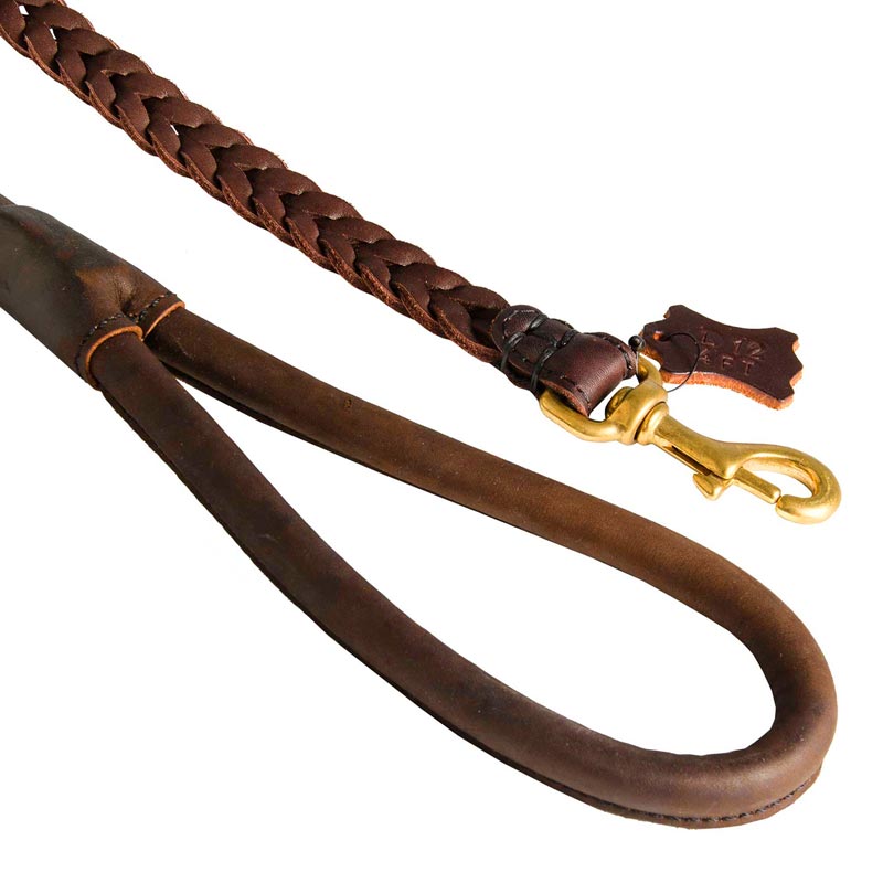 braided leather dog lead