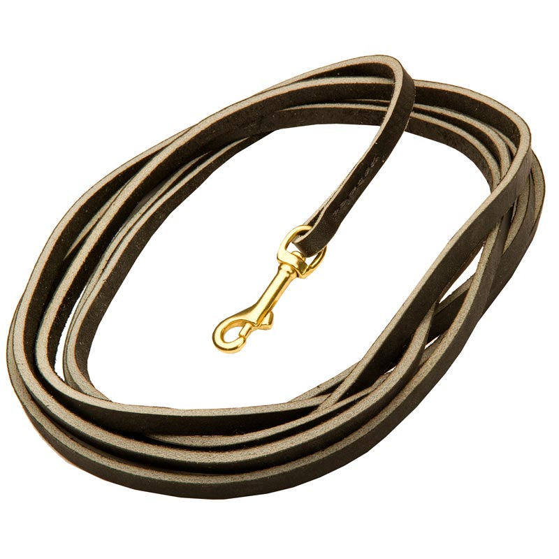 long leather dog training lead