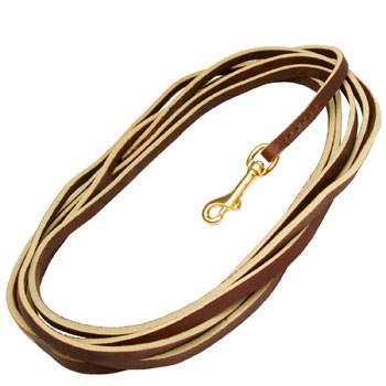 Brown Leather Dog Leash with Strong Brass Snap Hook