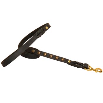 Custom Leather Dog Leash for Fancy Dog Walking