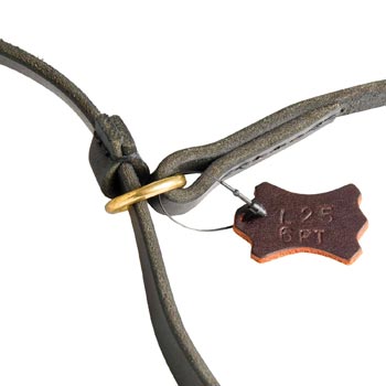 Durable Leash and Choke Collar Dog Equipment