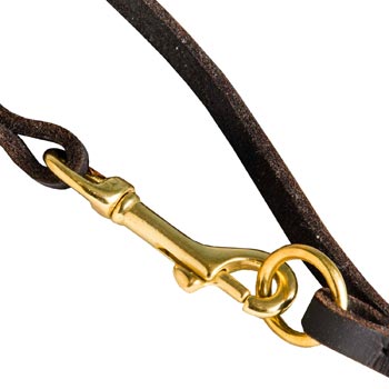 Leather Dog Leash with Brass Hardware for Dog Control