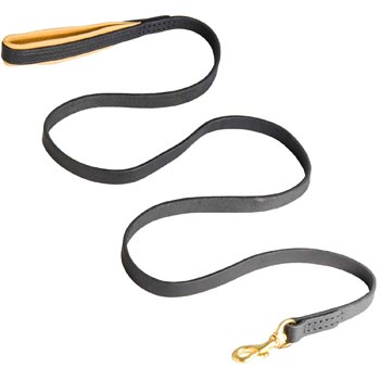 Padded Leather Dog Leash for Everyday Walking