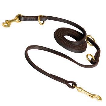 Multipurpose Dog Leather Leash for Effective Training