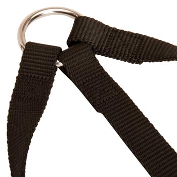 Nickel Ring of Dog Coupler