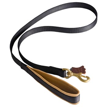 Special Nylon Dog Leash Comfortable to Use for Dog