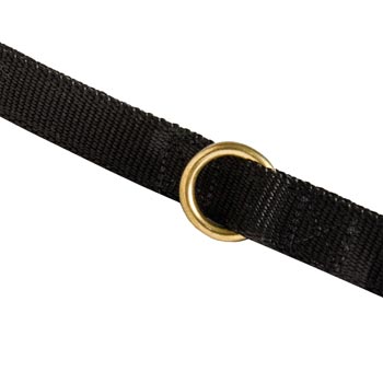Nylon Dog Leash Solid Brass Ring