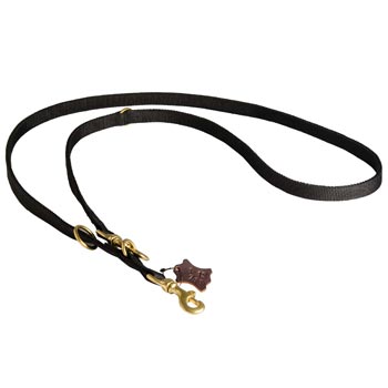 Dog Nylon Dog Leash