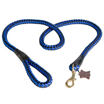 Dog Nylon Cord Leash